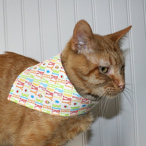 Hand Crafted Cat Hand Crafted Happy Birthday Cat Bandana Velcro